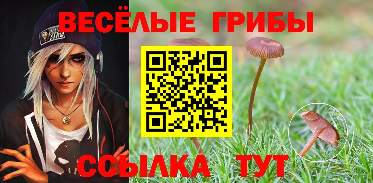 Псилоцибиновые грибы Magic Shrooms  Вход с VPN  Чапаевск 