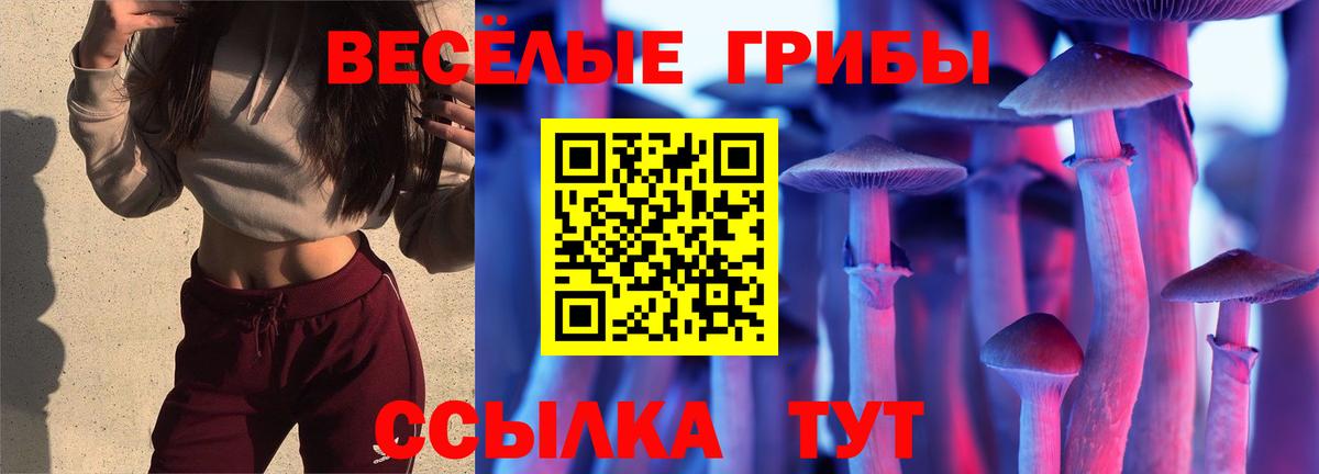 Галлюциногенные грибы Psilocybe Чапаевск